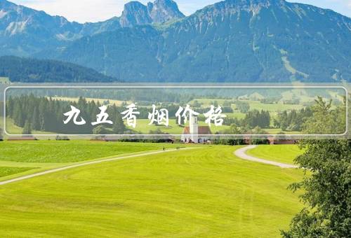 九五香烟价格