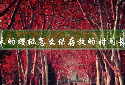 买回来的樱桃怎么保存放的时间长