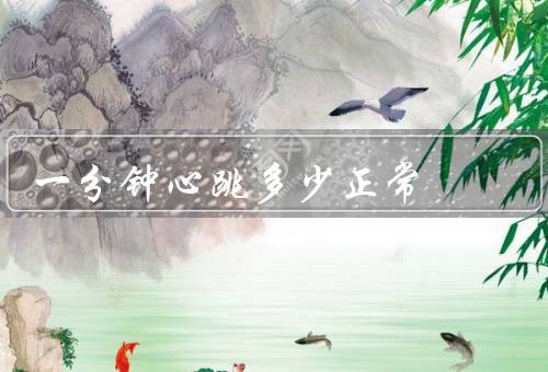 一分钟心跳多少正常