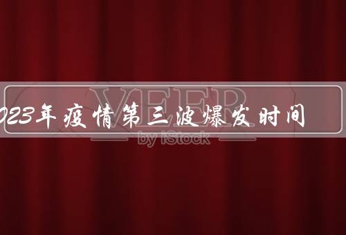 2023年疫情第三波爆发时间