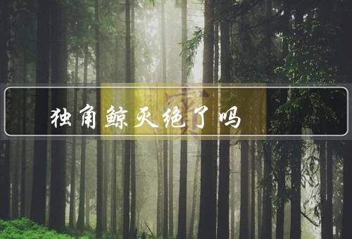 独角鲸灭绝了吗