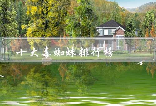 十大毒蜘蛛排行榜