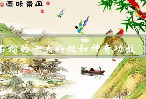 吃石榴的十大好处和神奇功效