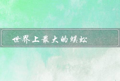 世界上最大的蜈蚣