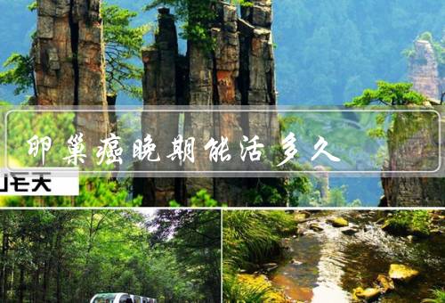 卵巢癌晚期能活多久