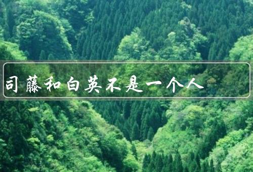 司藤和白英不是一个人