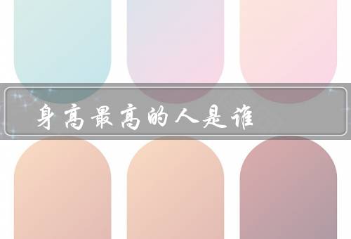 身高最高的人是谁