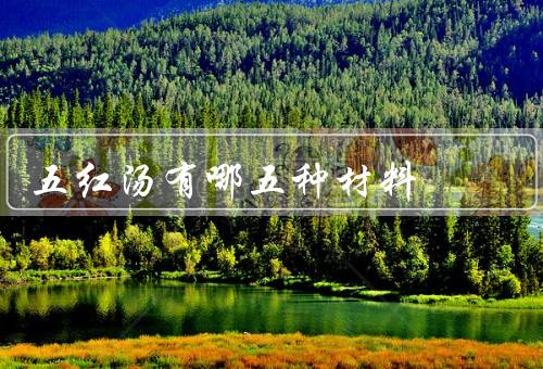 五红汤有哪五种材料，枸杞／红枣／花生／红糖／红豆