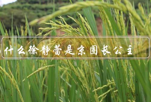 为什么徐静蕾是京圈长公主