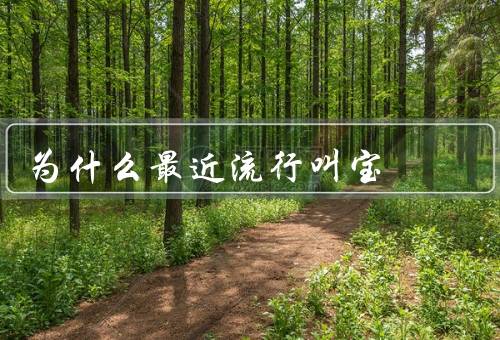 为什么最近流行叫宝