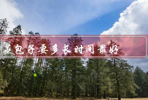 蒸包子要多长时间最好