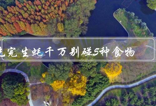 吃完生蚝千万别碰5种食物
