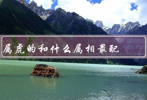 属虎的和什么属相最配