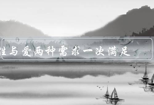 性与爱两种需求一次满足