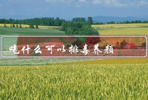 吃什么可以排毒养颜