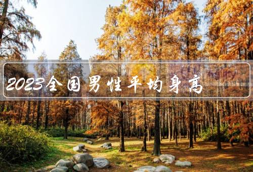 2023全国男性平均身高