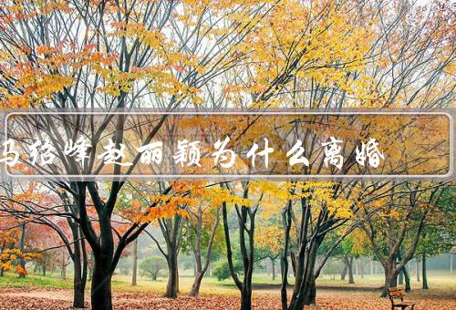 冯绍峰赵丽颖为什么离婚