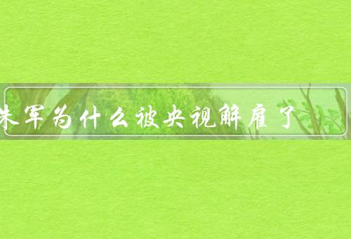朱军为什么被央视解雇了