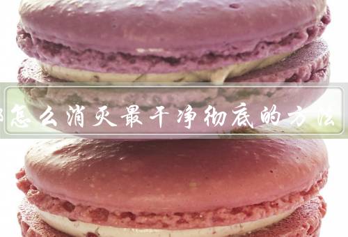 蟑螂怎么消灭最干净彻底的方法