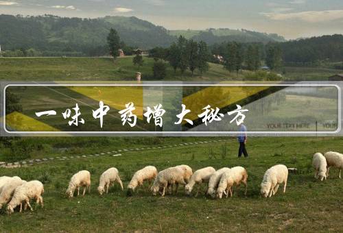 一味中药增大秘方