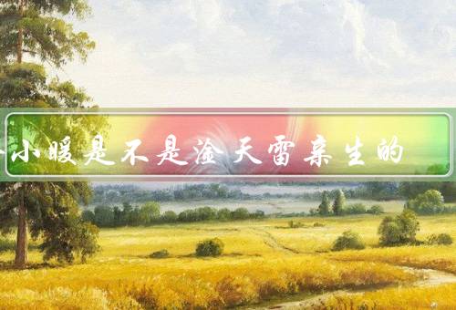 淦小暖是不是淦天雷亲生的