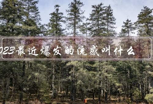 2023最近爆发的流感叫什么