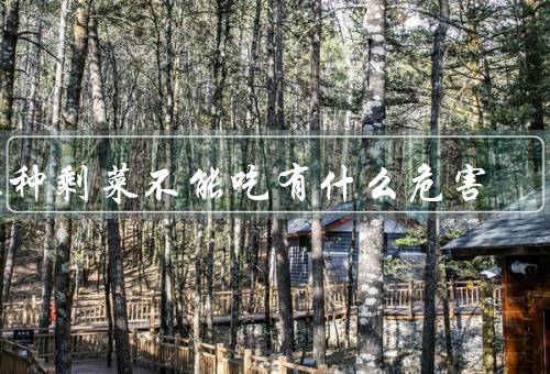 三种剩菜不能吃有什么危害