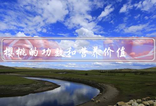樱桃的功效和营养价值