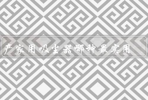 国产家用吸尘器哪种最实用