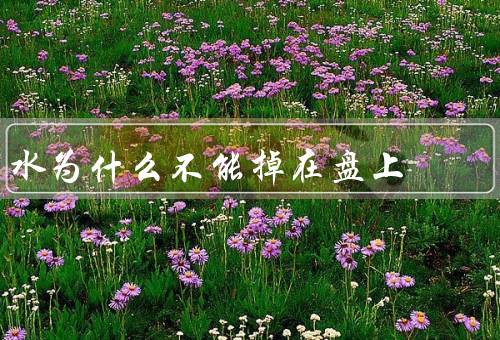 水为什么不能掉在盘上