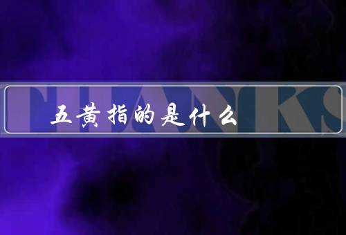 五黄指的是什么