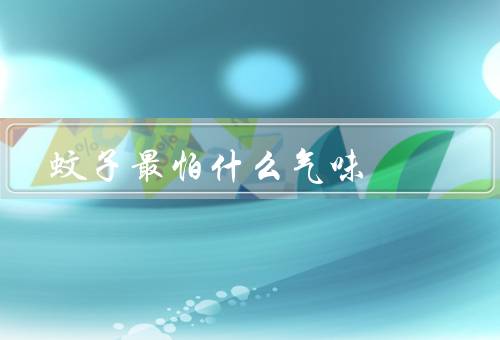 蚊子最怕什么气味