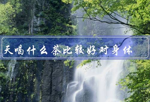夏天喝什么茶比较好对身体