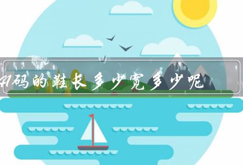 41码的鞋长多少宽多少呢