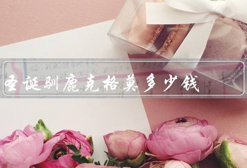 圣诞驯鹿克格莫多少钱