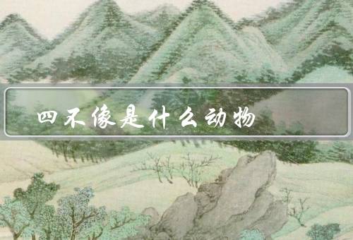 四不像是什么动物