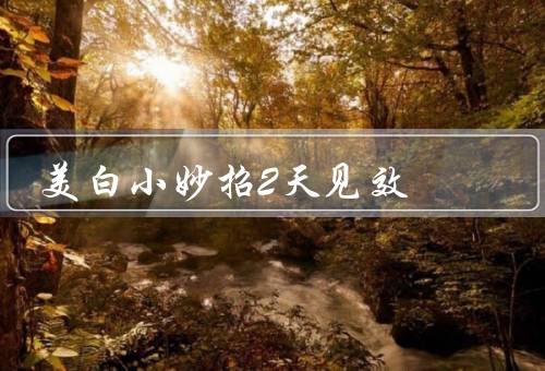 美白小妙招2天见效