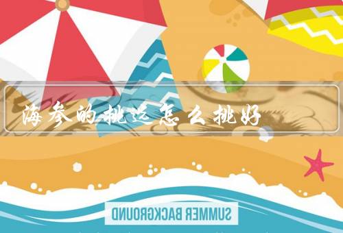海参的挑选怎么挑好