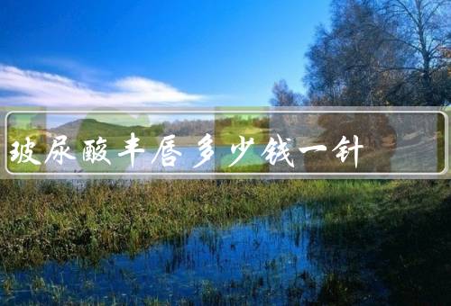 玻尿酸丰唇多少钱一针