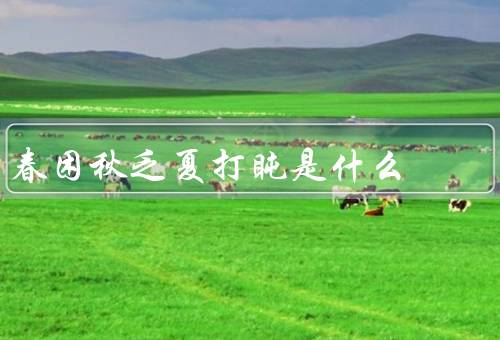 春困秋乏夏打盹是什么