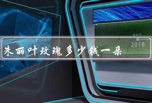 朱丽叶玫瑰多少钱一朵