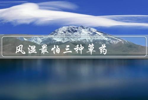风湿最怕三种草药