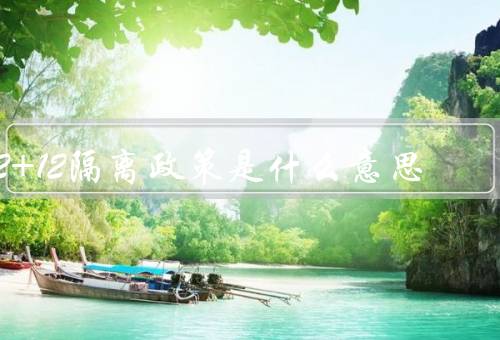 2+12隔离政策是什么意思