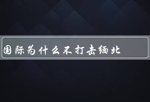 国际为什么不打击缅北