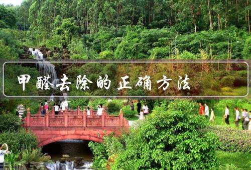 甲醛去除的正确方法