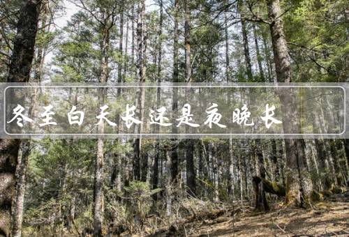 冬至白天长还是夜晚长