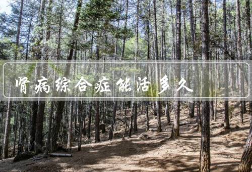 肾病综合症能活多久