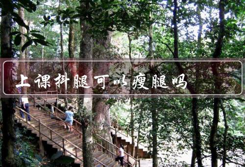 上课抖腿可以瘦腿吗