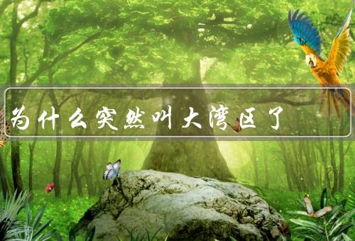 为什么突然叫大湾区了