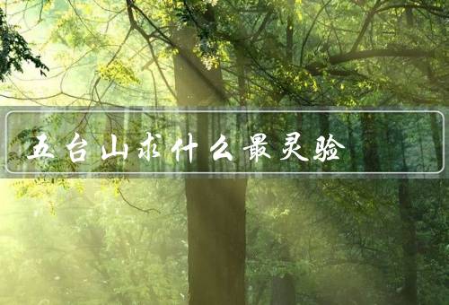 五台山求什么最灵验
